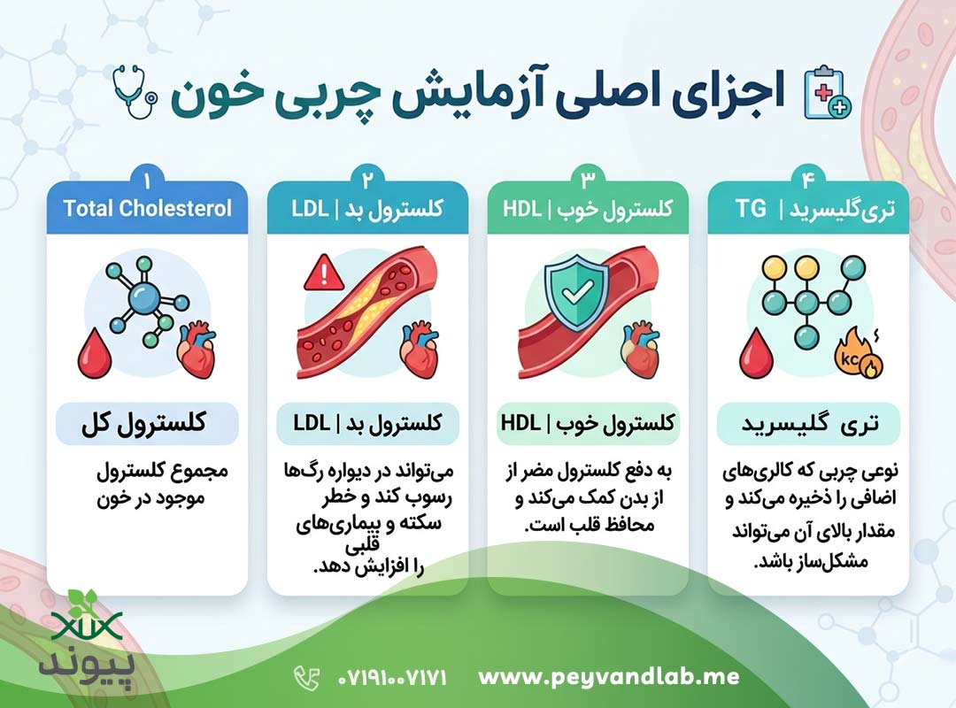 کلسترول LDL و HDL چیست؟ تفسیر کامل آزمایش چربی خون