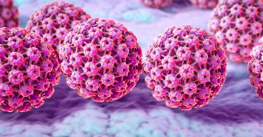 HPV در مجرای تناسلی زنان