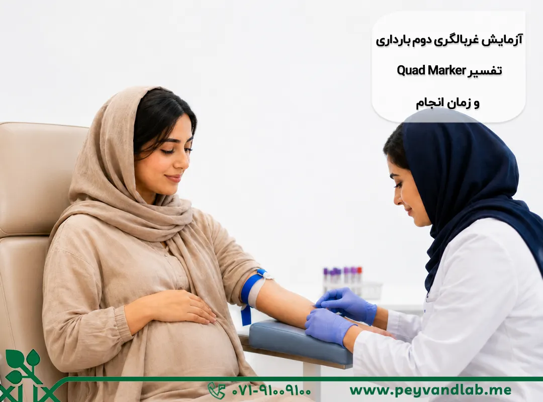 آزمایش غربالگری دوم بارداری | تفسیر Quad Marker و زمان انجام
