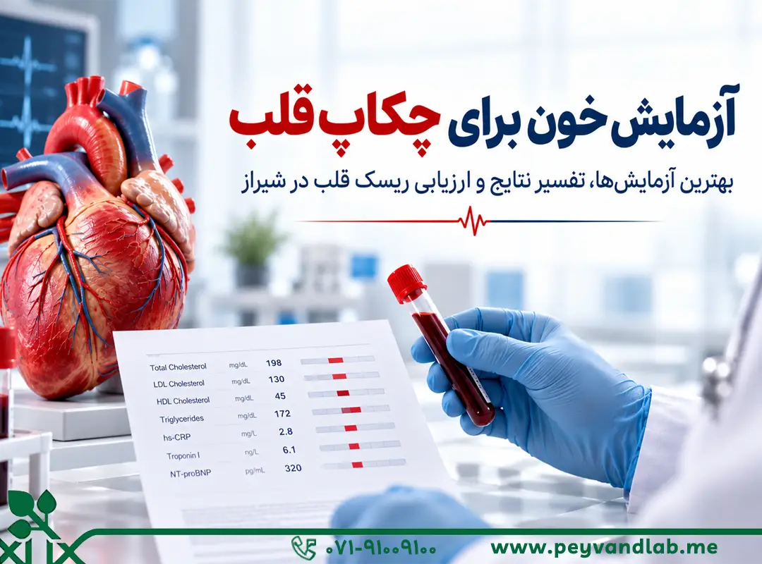 آزمایش خون برای قلب | تفسیر تست‌ها و چکاپ قلب در شیراز