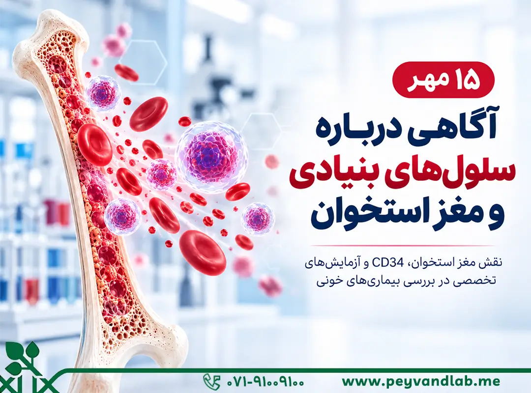 آگاهی سلول بنیادی مغز استخوان | به مناسبت ۱۵ مهر