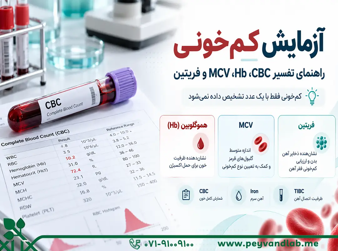 آزمایش کم‌خونی چیست؟ تفسیر CBC، فریتین و تشخیص فقر آهن