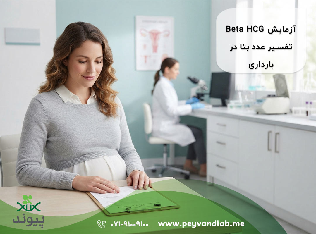 آزمایش بارداری چیست؟ تفسیر آزمایش خون بارداری و عدد Beta HCG