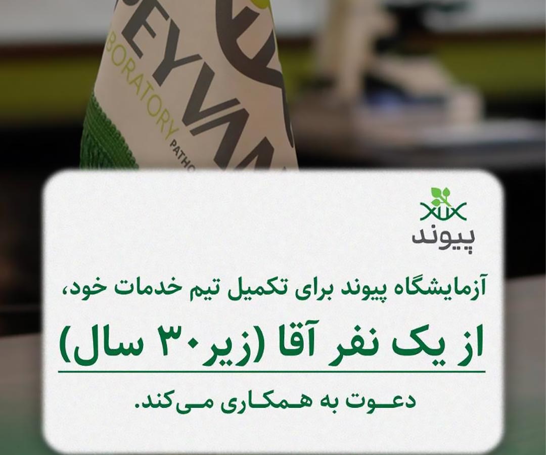 دعوت به همکاری نیروی خدماتی آقا