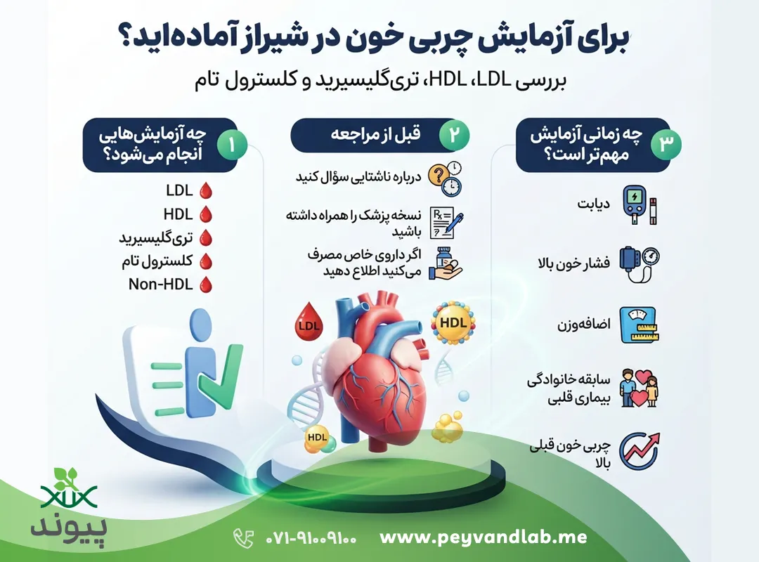 کلسترول LDL و HDL چیست؟ تفسیر کامل آزمایش چربی خون