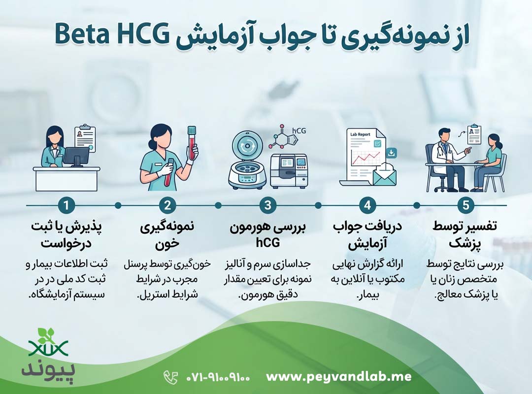 آزمایش بارداری چیست؟ تفسیر آزمایش خون بارداری و عدد Beta HCG