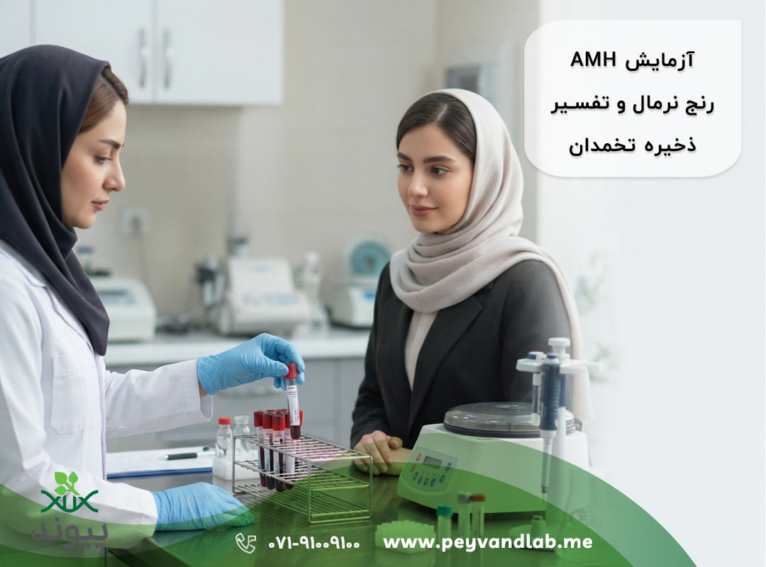 آزمایش AMH شیراز | رنج نرمال و تفسیر ذخیره تخمدان 