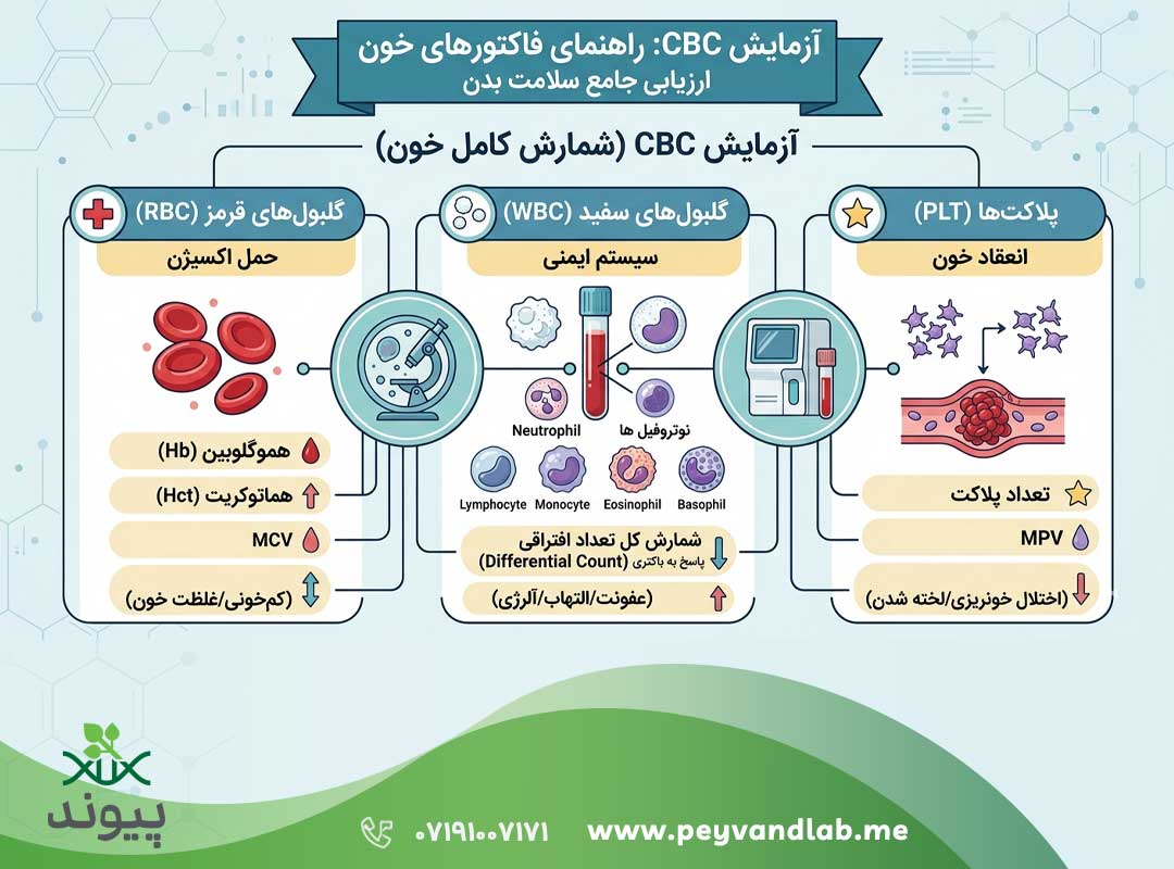 آزمایش CBC در شیراز | تفسیر کامل , تفاوت CBC و CBC Diff