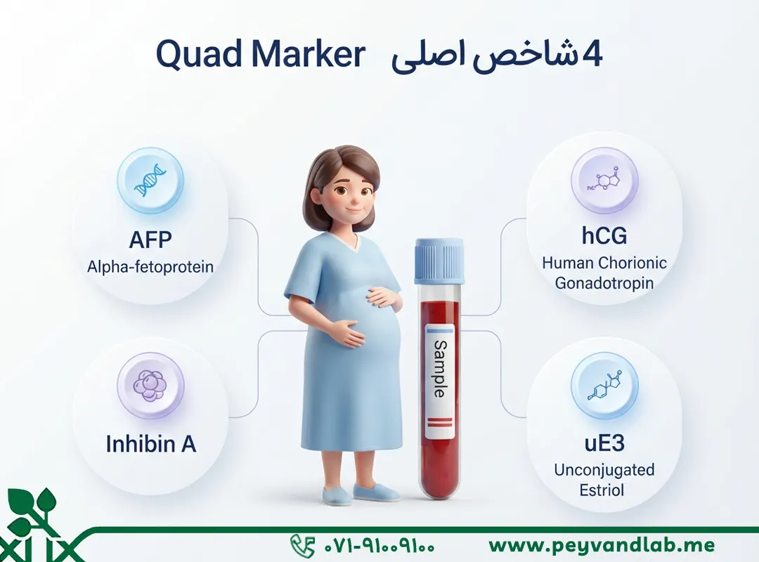 غربالگری سه ماهه دوم بارداری Quad Marker چیست
