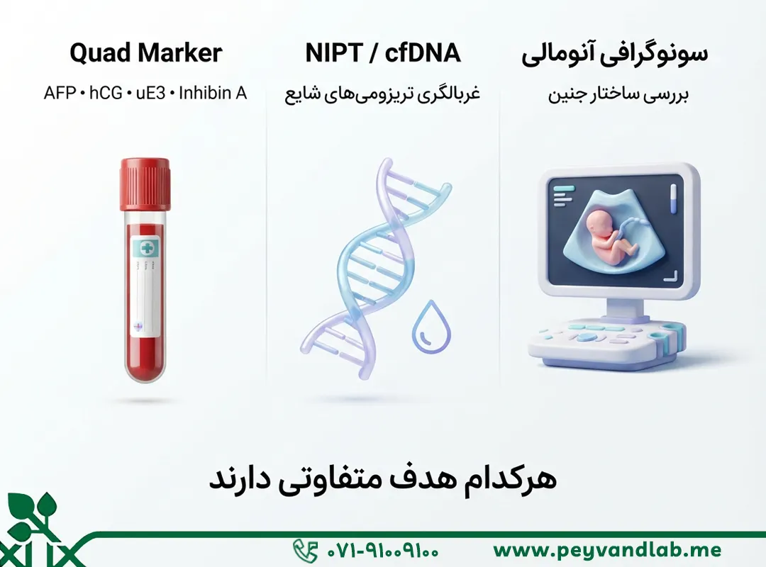 غربالگری دوم بارداری