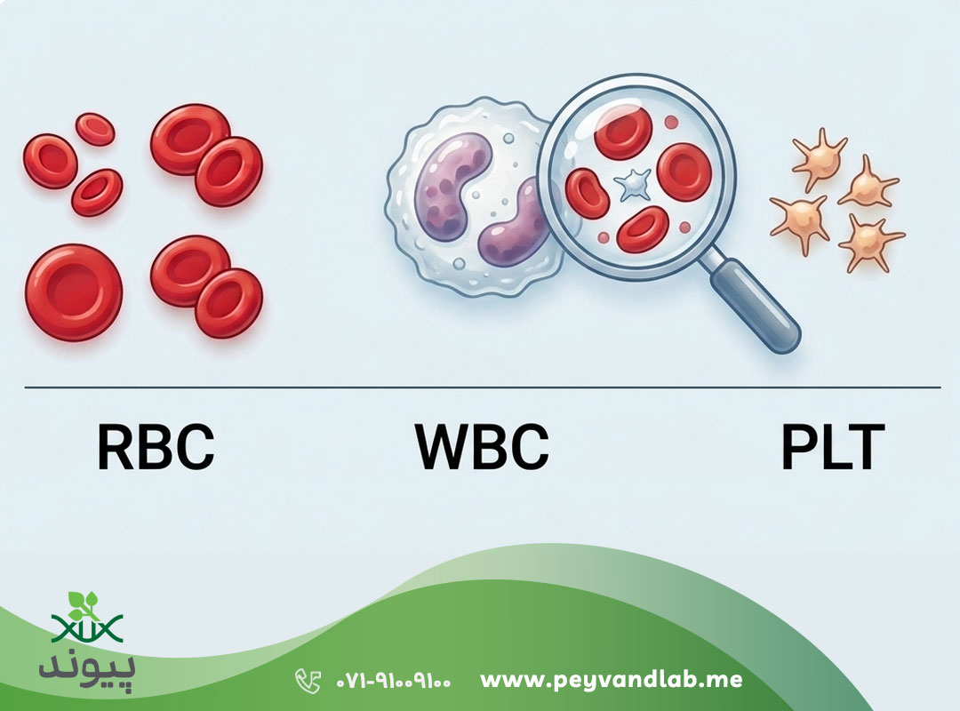 آزمایش خون cbc