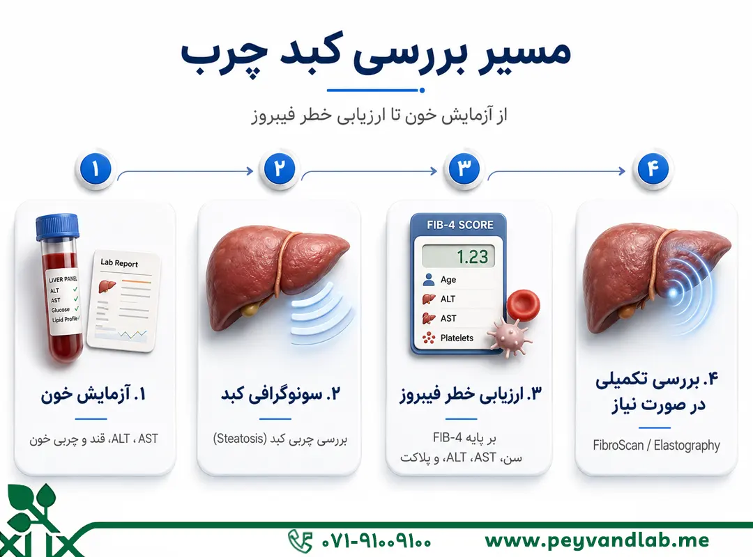 گریدهای کبد چرب در سونوگرافی و ارتباط آن با آزمایش خون
