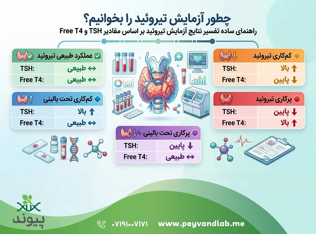 چطور آزمایش تیروئید را بخوانیم