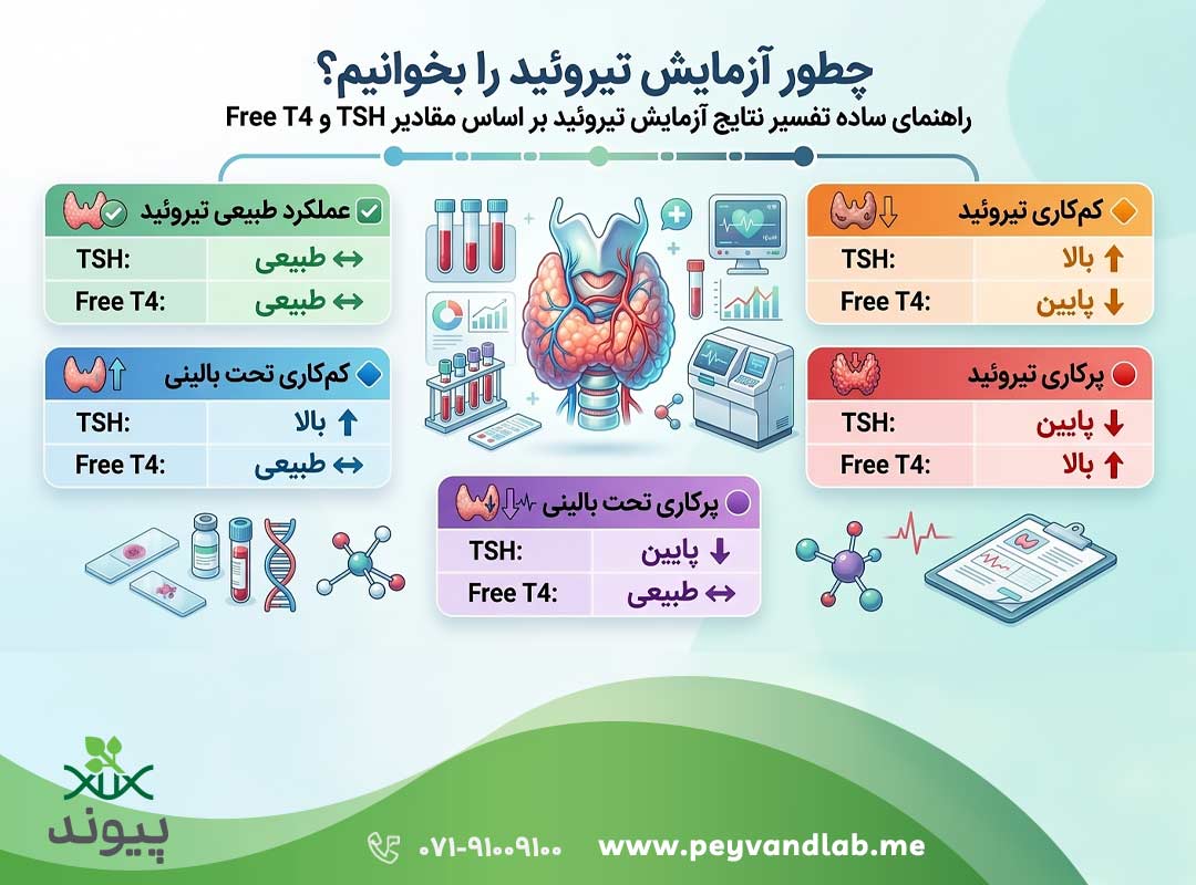 چطور آزمایش تیروئید را بخوانیم