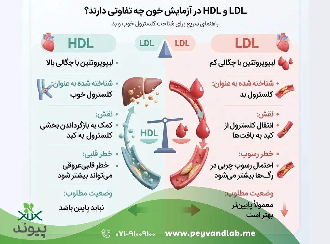 تفاوت LDL و HDL چیست