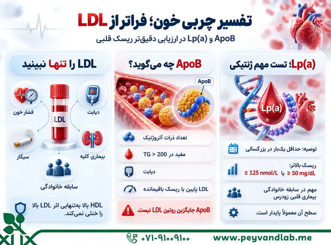 تفسیر چربی خون در آزمایش قلب