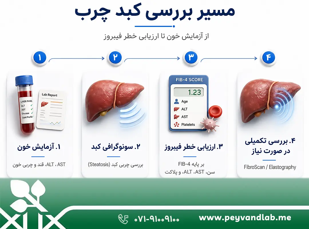 گریدهای کبد چرب در سونوگرافی و ارتباط آن با آزمایش خون