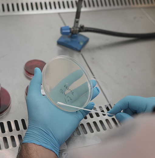 میکروب‌شناسی و آنالیز تجزیه ادرار